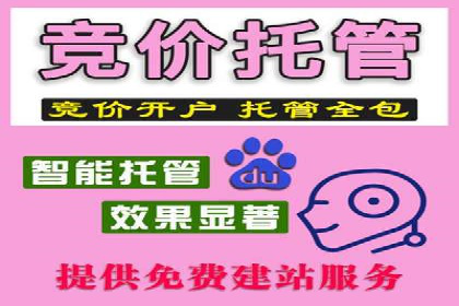 百度推广成功之路：从零到一的实战案例记录